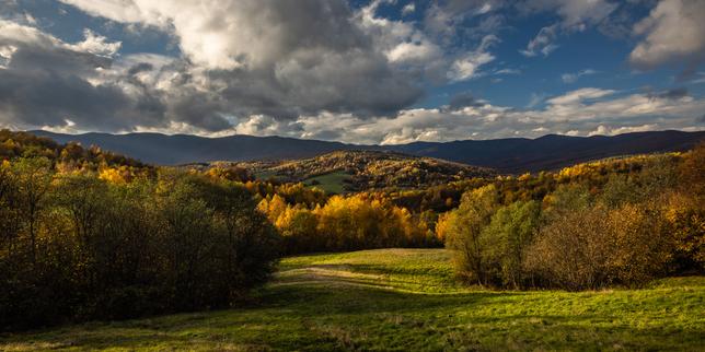 Dans le parc national des Poloniny, en Slovaquie, de forêts de hêtres en prairies de crête